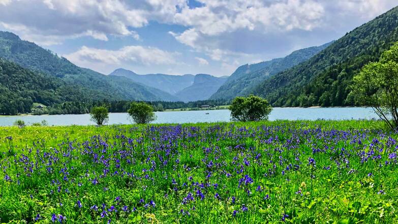 Nordufer Hintersee mit Blick zum Feichtenstein