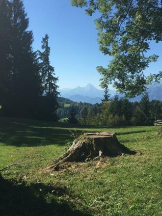 Blick zum Watzmann Gebirge