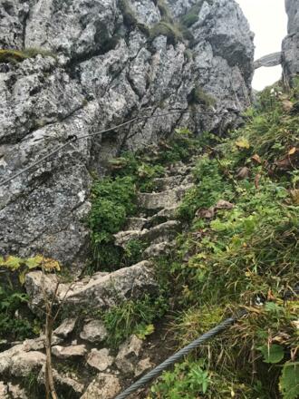 Himmelspfortensteig zurückblickend