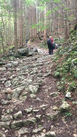 Alte Weg Richtung Gruberalm
