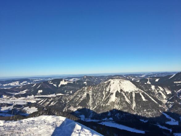 Wieser Horn