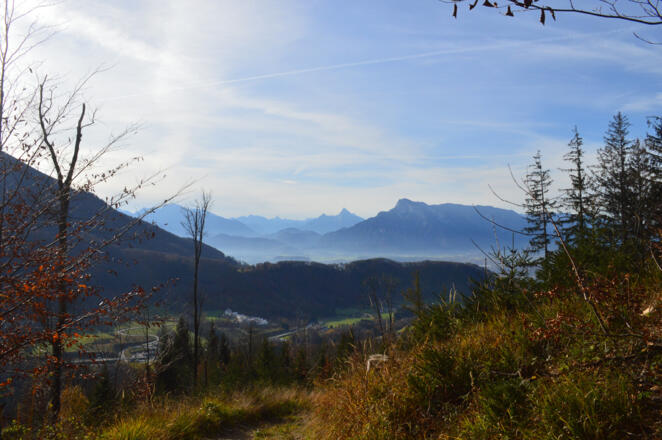 Aussicht in die Berg'