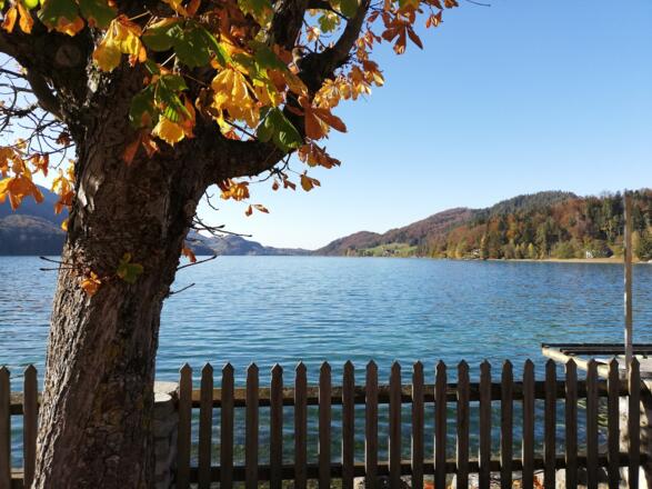Strandpromenade Fuschl am See