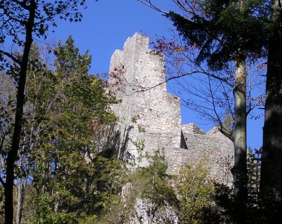 In der Burgruine Wartenfels