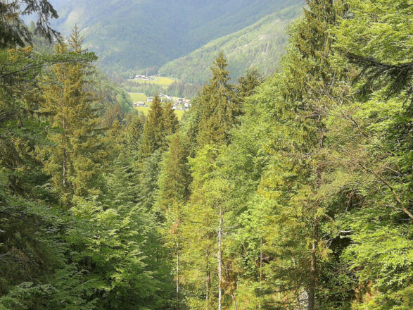 Blick entlang des Weges