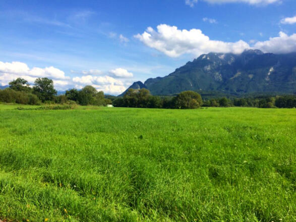 Laufen in Wals