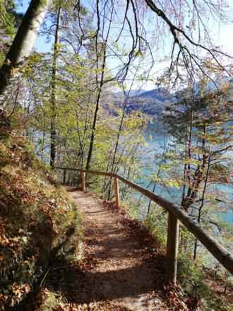 Nordufer des Fuschlsees