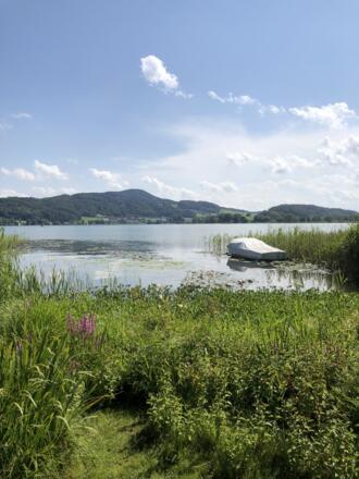 Idylle am Mattsee