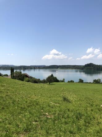 Ausblick auf den Mattsee