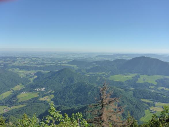 Blick vom Ochsenberg auf den Strumberg
