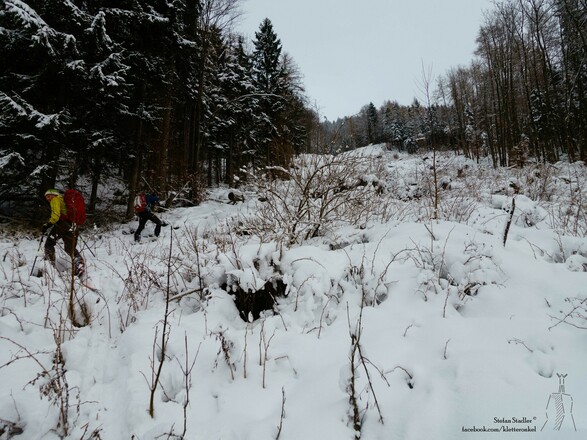 sehr wenig Schnee im unteren Bereich der Schneise