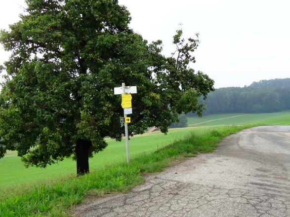 gut markierte Wege