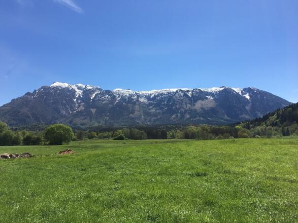 Ausblick auf den Untersberg