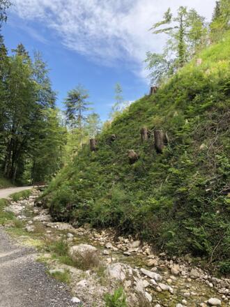 auf dem Weg zurück