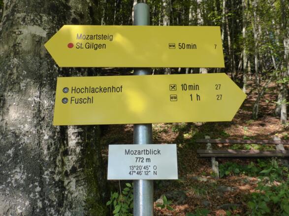 Mozartblick auf 772 m