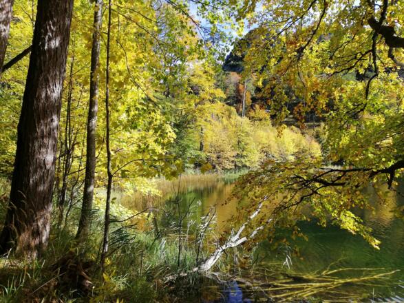 Herbstlicher Eibensee