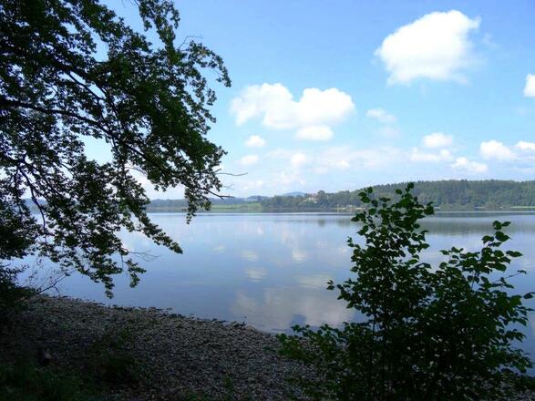 am Wallersee