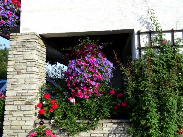 schöne Blumen
