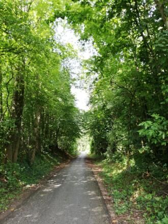 Radweg auf der Ischler Bahntrasse