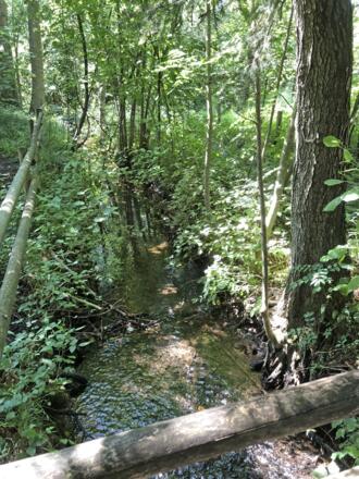 Moor in Gebertsham