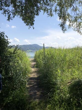 Ausblick auf Mattsee