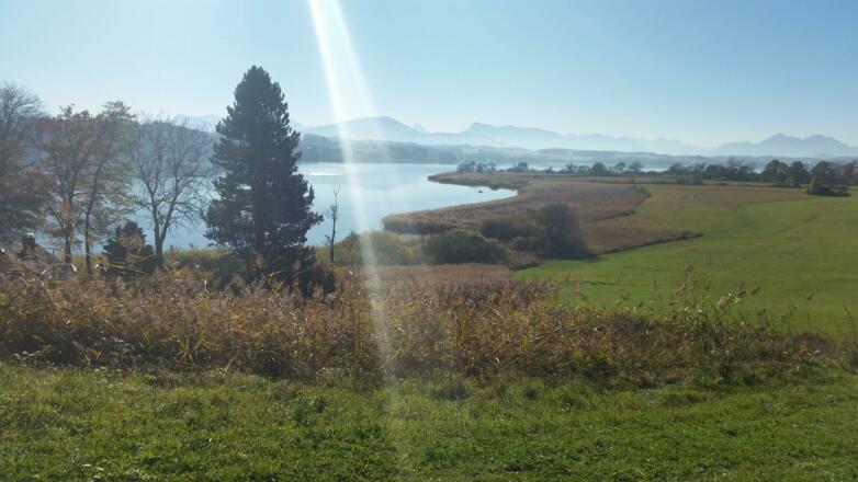 Ausblick auf den Wallersee