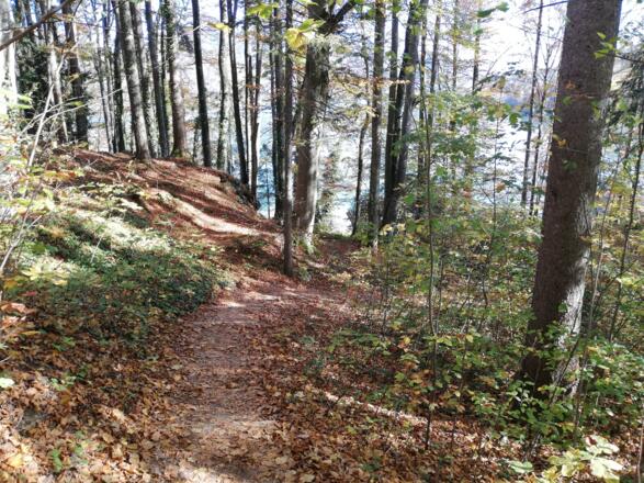 Auf dem Weg zur Schlossfischerei Fuschl