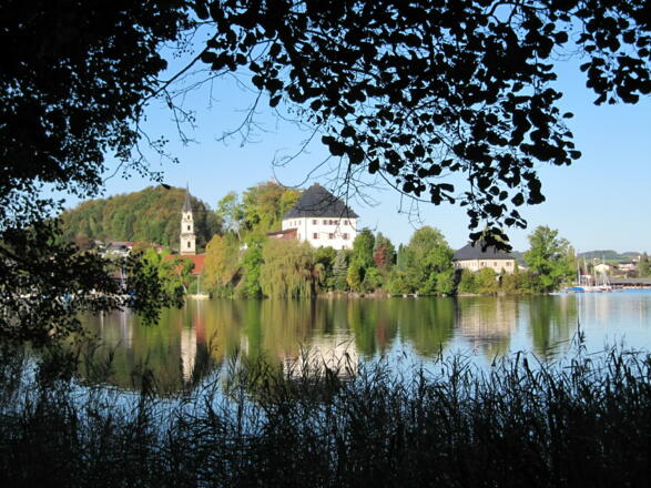 Blick auf Mattsee