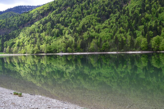 Hintersee Rastplatz