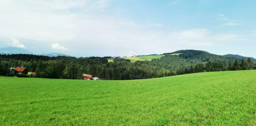 Aussicht auf Wiesen und Wälder
