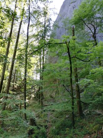 Steinklüfte Nähe Klettergarten