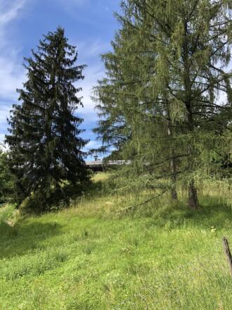 Gasthaus Wolfschwang