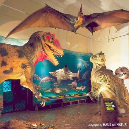 Haus der Natur Salzburg