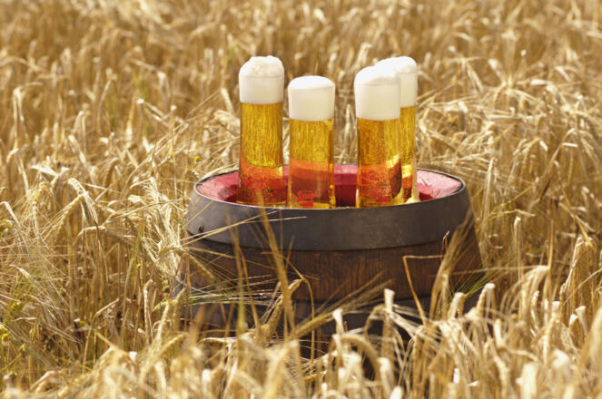 Stieglbier