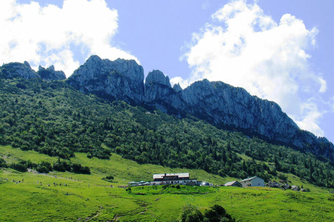 Steinlingalm - © Chiemsee-Alpenland Tourismus