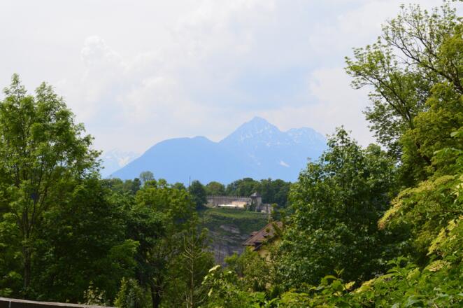 Aussicht auf den Staufen