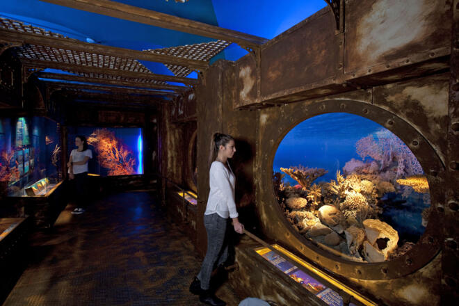 Haus der Natur Salzburg