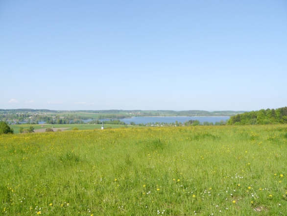 Ausblick vom Mühlberg auf den Waginger See