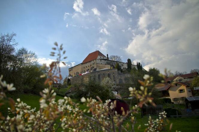 Wasser_Burg_Tittmoning_Frühling
