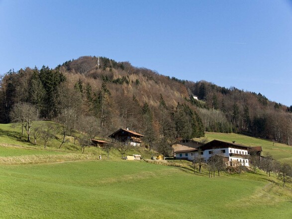 Der Dandlberg in voller Größe