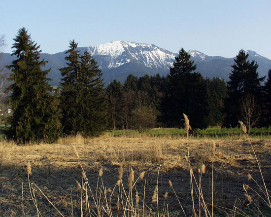 Die Samerberger Filze im Herbst