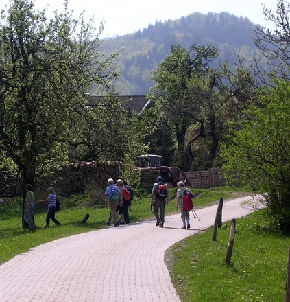 In Gerstland Richtung Gritschen
