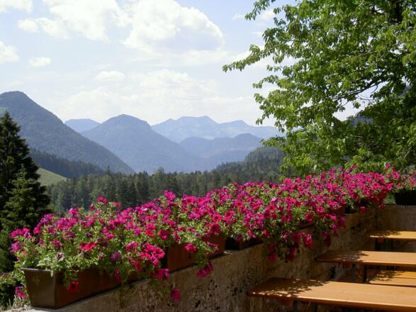 Blumenpracht auf der Wagner Alm