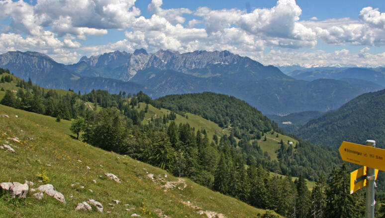 Himmelmoos Alm Brünnstein mit Kaisergebirge