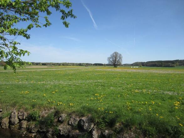 Weite Blicke über blühende Wiesen