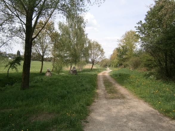 Rimstinger Gehirn-Jogging-Weg