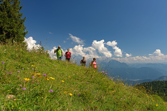Wandern im Brünnsteingebiet
