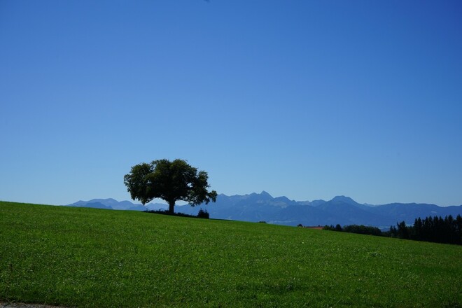 Blick in die Mangfalltaler und Inntaler Berge von Bergham