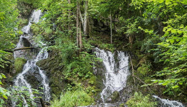 Hechtsee Abfluss - Station 12 Kieferer Energiewanderweg