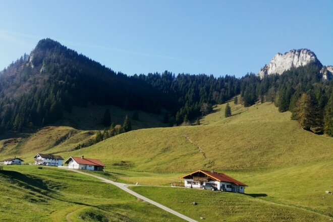Daffnerwald Almen unterhalb der Wasserwand